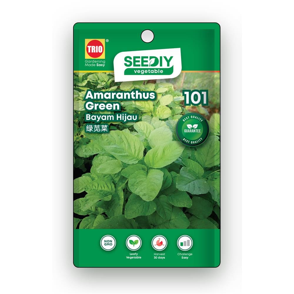 TRIO SEEDIY AMARANTHUS GREEN SEED