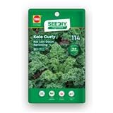 TRIO SEEDIY KALE CURLY SEED