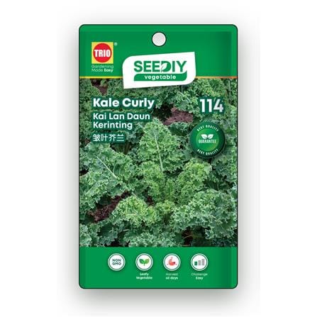 TRIO SEEDIY KALE CURLY SEED