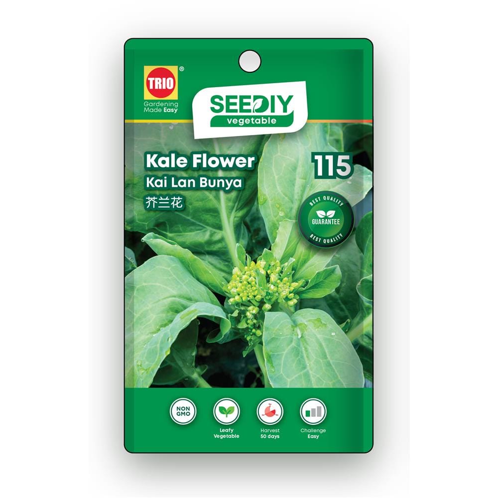 TRIO SEEDIY KALE FLOWER SEED