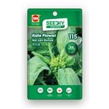 TRIO SEEDIY KALE FLOWER SEED