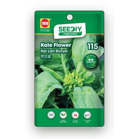 TRIO SEEDIY KALE FLOWER SEED