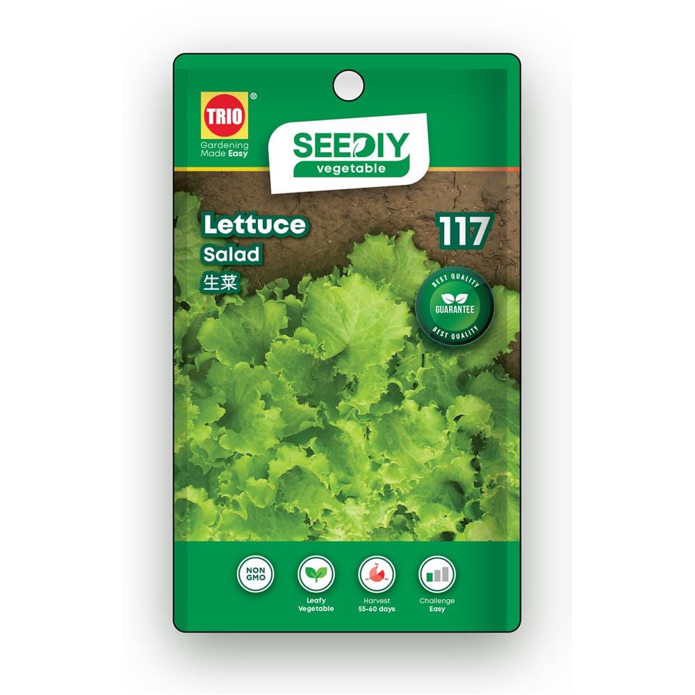 TRIO SEEDIY LETTUCE SEED