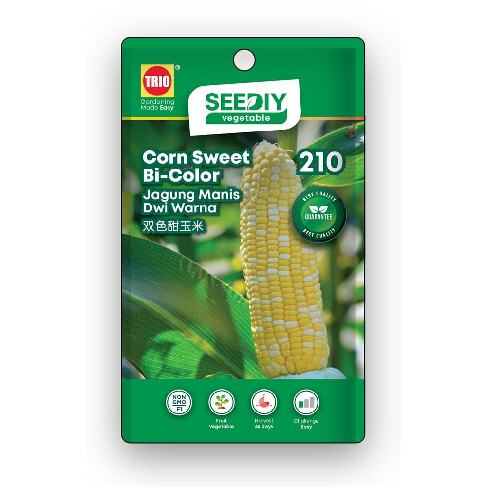 TRIO SEEDIY CORN SWEET BI-COLOR SEED