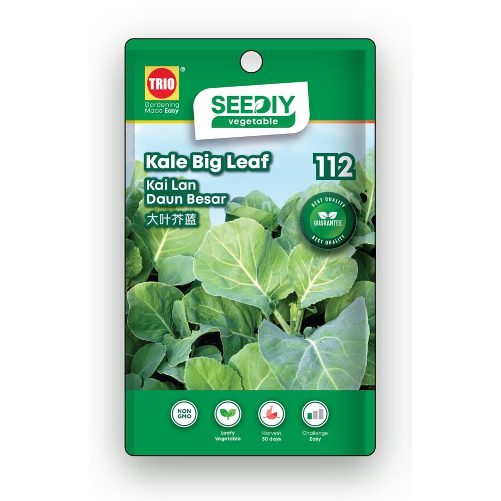TRIO SEEDIY KALE BIG LEAF SEED