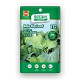 TRIO SEEDIY KALE BIG LEAF SEED