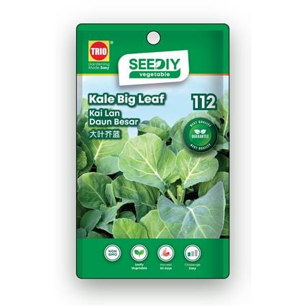 TRIO SEEDIY KALE BIG LEAF SEED