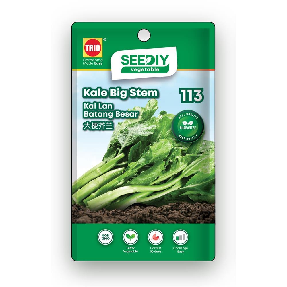 TRIO SEEDIY KALE BIG STEM SEED