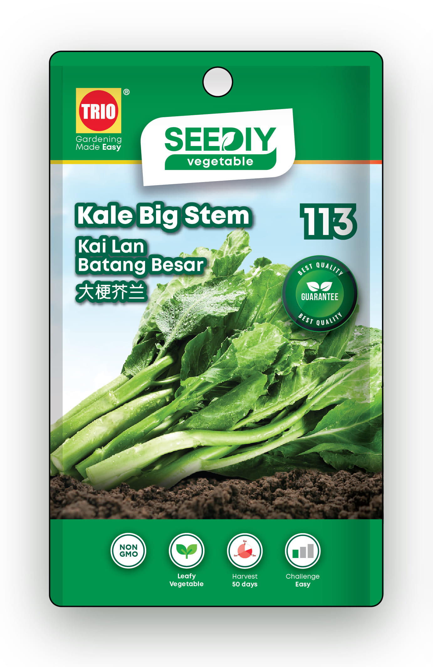 TRIO SEEDIY KALE BIG STEM SEED