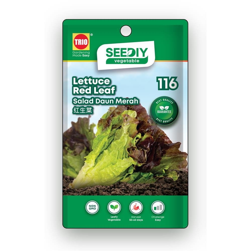 TRIO SEEDIY LETTUCE RED LEAF SEED