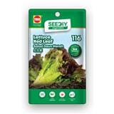 TRIO SEEDIY LETTUCE RED LEAF SEED