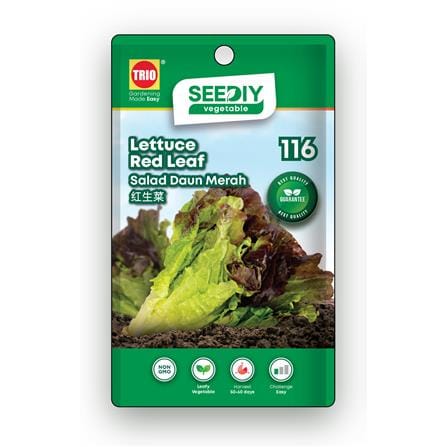 TRIO SEEDIY LETTUCE RED LEAF SEED