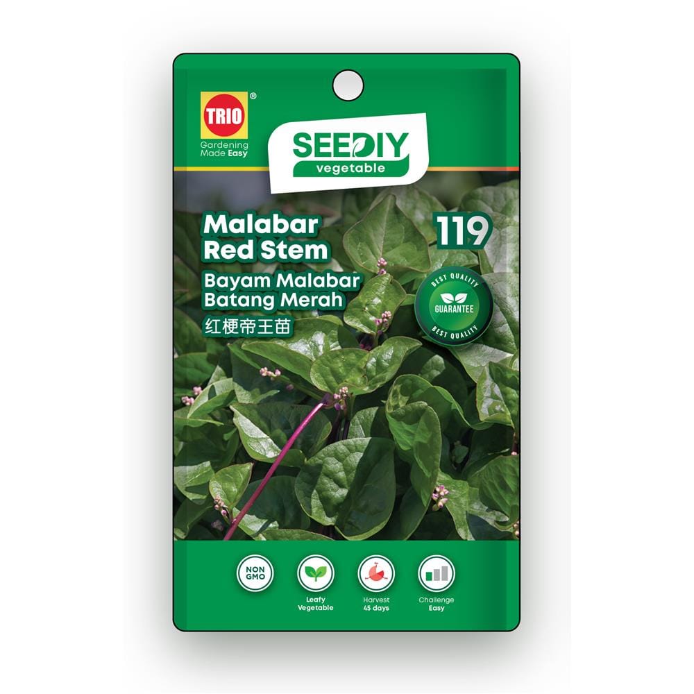 TRIO SEEDIY MALABAR RED STEM SEED