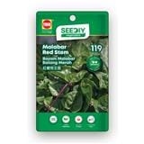 TRIO SEEDIY MALABAR RED STEM SEED