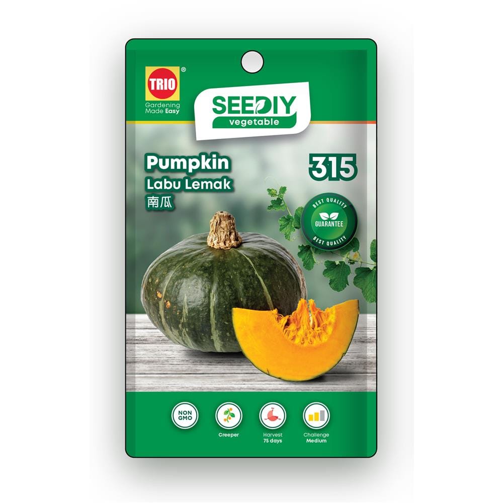 TRIO SEEDIY PUMPKIN SEED