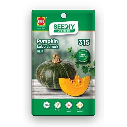 TRIO SEEDIY PUMPKIN SEED