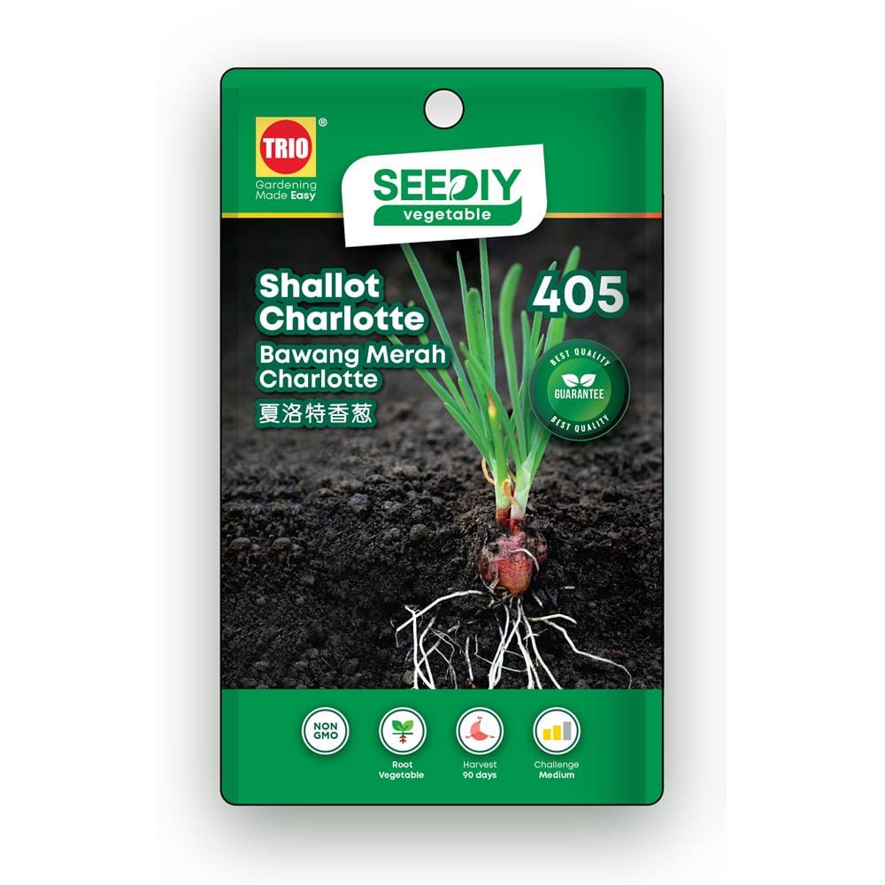 TRIO SEEDIY SHALLOT CHARLOTTE SEED