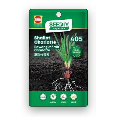 TRIO SEEDIY SHALLOT CHARLOTTE SEED