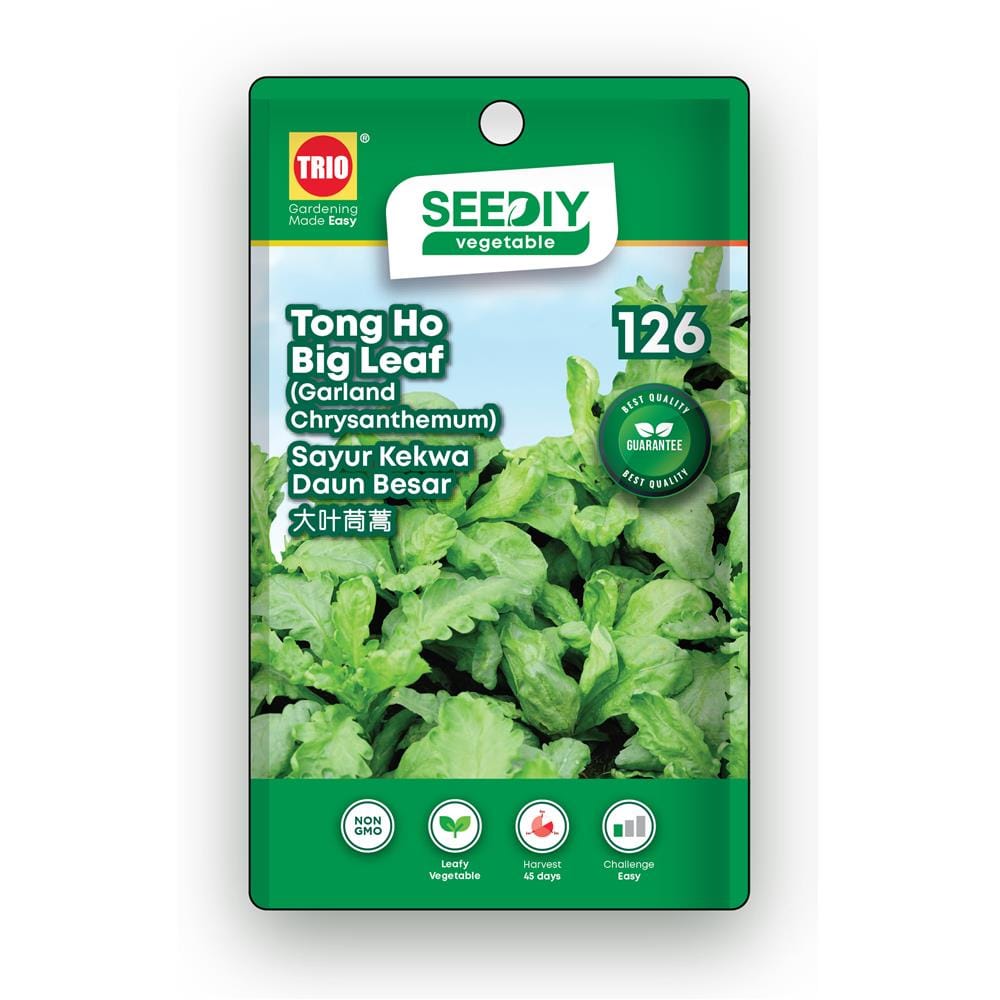 TRIO SEEDIY TONG HO BIG LEAF SEED