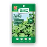 TRIO SEEDIY TONG HO BIG LEAF SEED