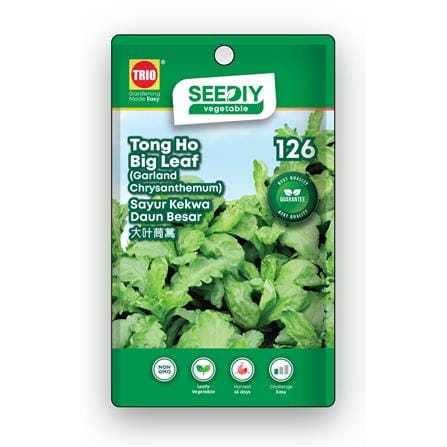 TRIO SEEDIY TONG HO BIG LEAF SEED
