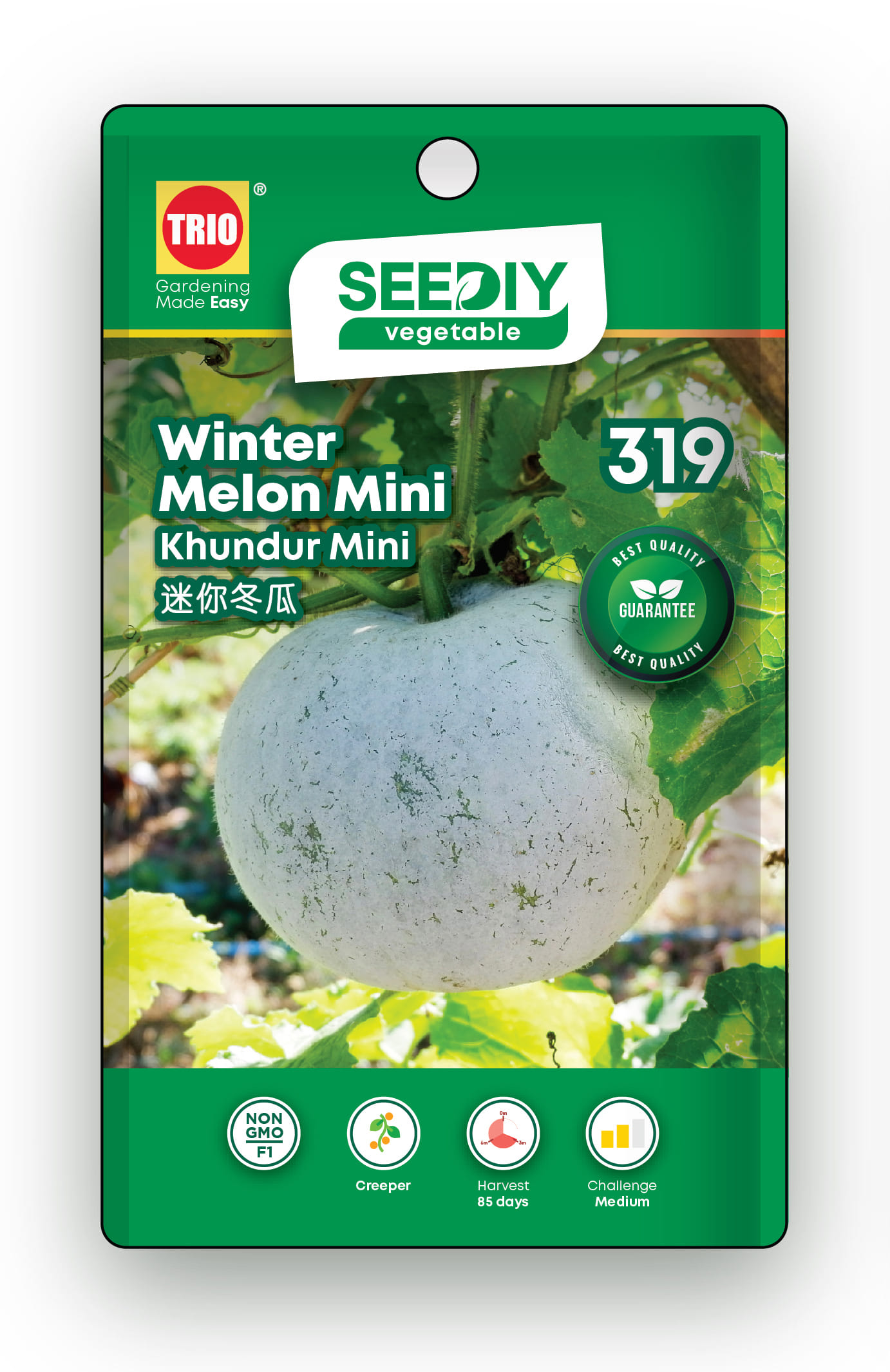 TRIO SEEDIY WINTER MELON MINI SEED