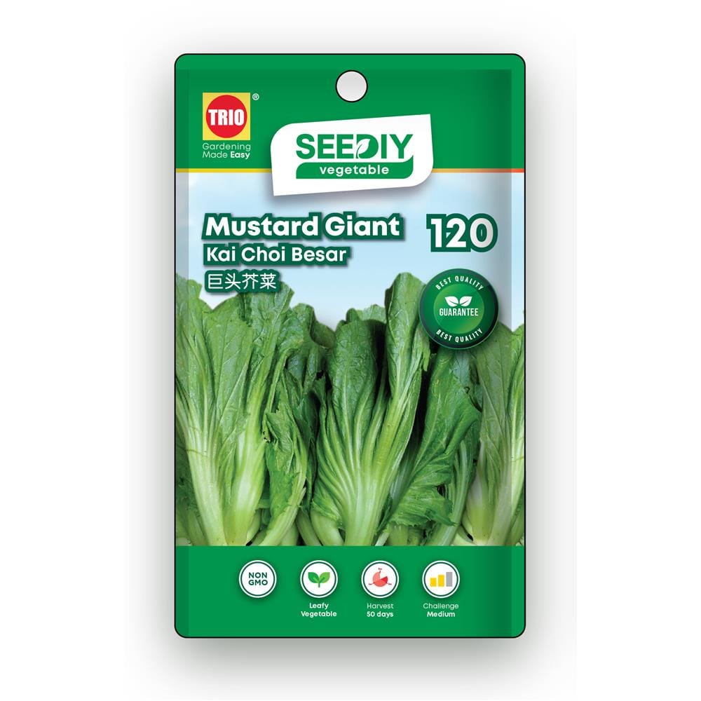 TRIO SEEDIY MUSTARD GIANT SEED
