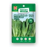 TRIO SEEDIY MUSTARD GIANT SEED