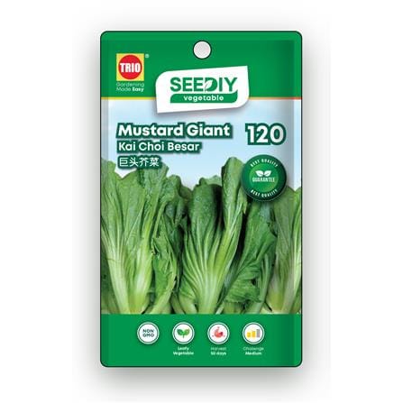 TRIO SEEDIY MUSTARD GIANT SEED