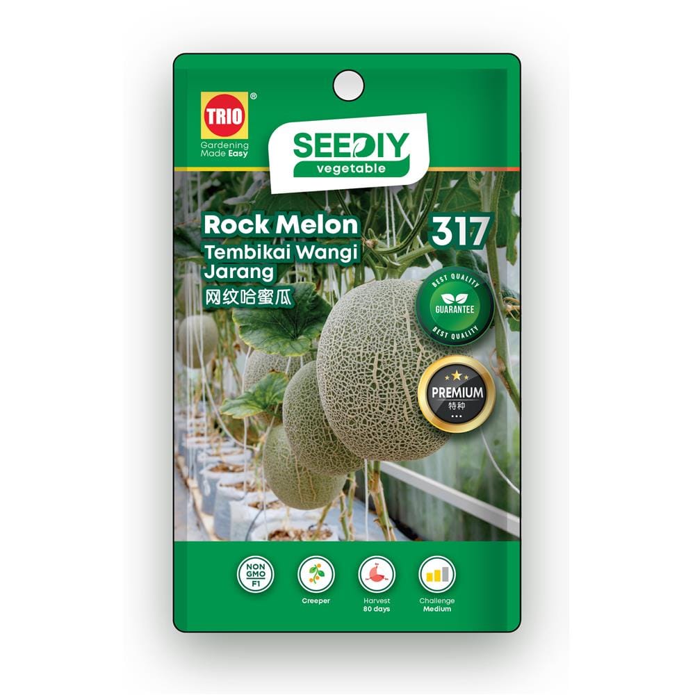 TRIO SEEDIY ROCK MELON SEED
