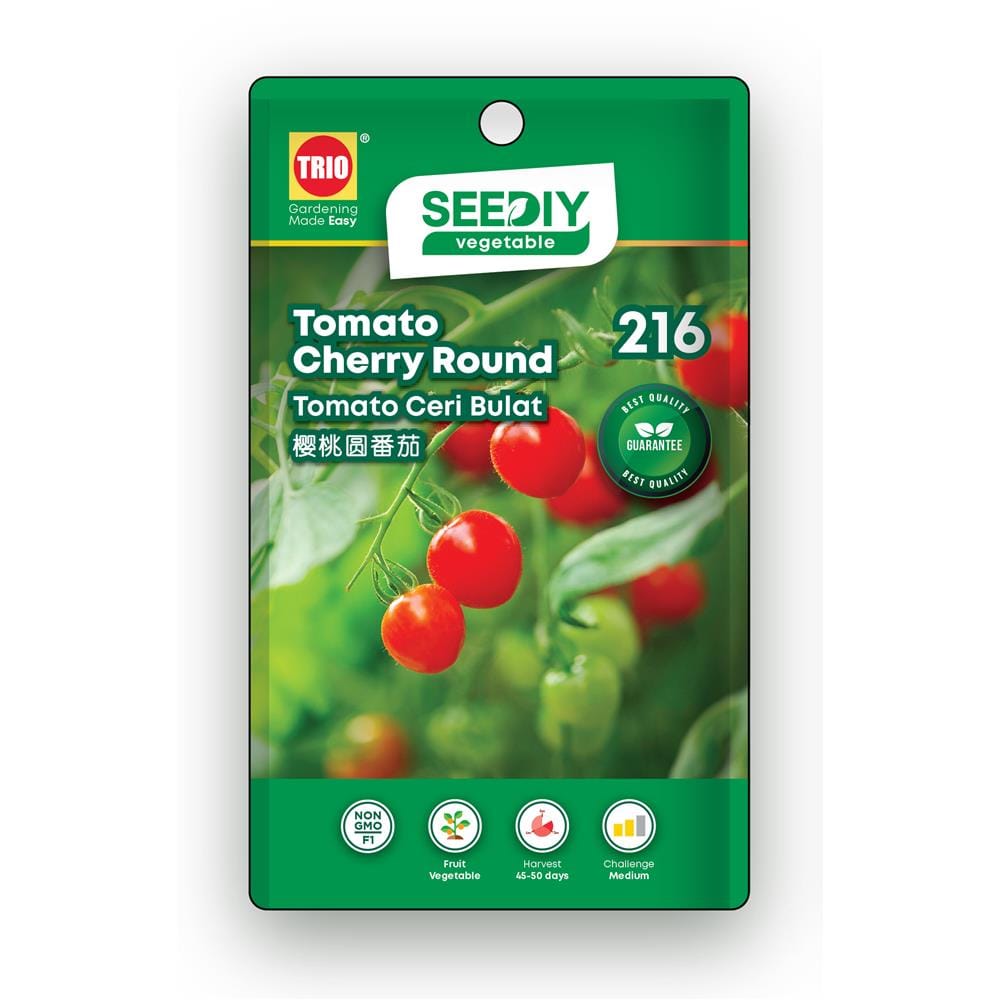 TRIO SEEDIY TOMATO CHERRY ROUND SEED