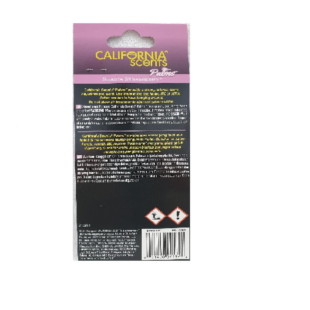 HANGING CALIFORNIA SCENTS CAR INTERIOR CARE