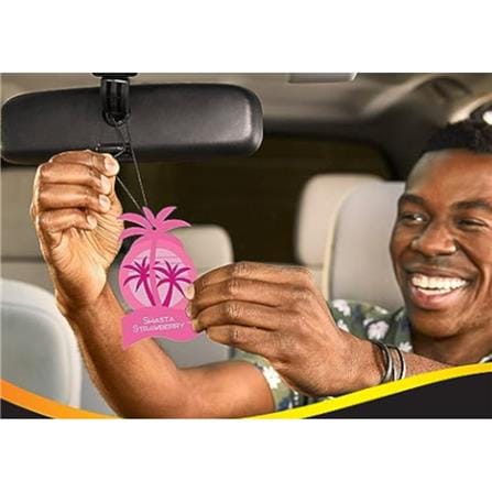 HANGING CALIFORNIA SCENTS CAR INTERIOR CARE