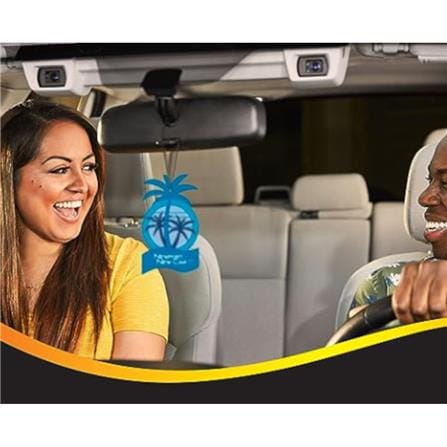 HANGING CALIFORNIA SCENTS CAR INTERIOR CARE
