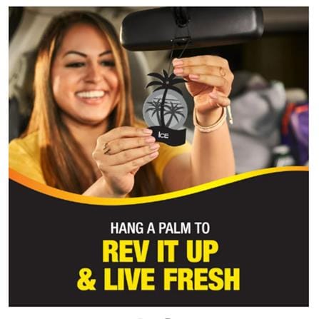 HANGING CALIFORNIA SCENTS CAR INTERIOR CARE
