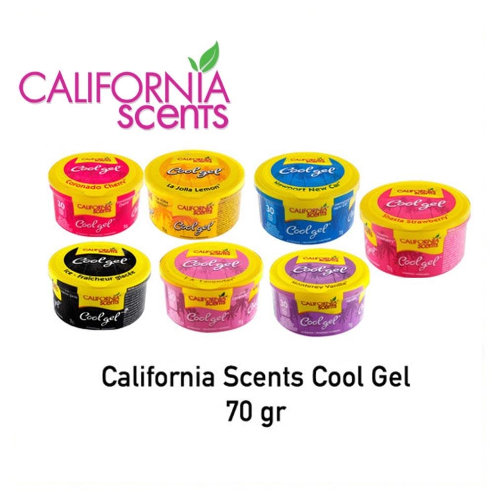 CALIFORNIA SCENTS CAR GEL ICE - 70GRAM