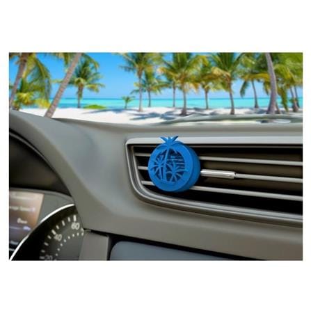 CALIFORNIA SCENTS MINI DIFFUSERS - NEWPORT NEW CAR (2's)