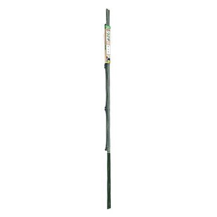 SPRING VINE CLIMBING RACK DGH701