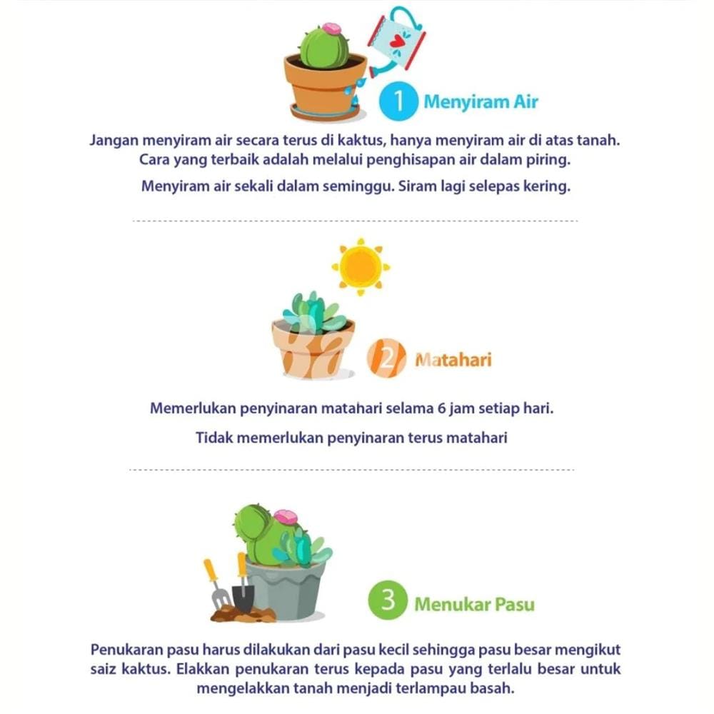 BABA CACTI & SUCCULENT POTTING MIX 7L