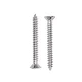 DEXZON SELF TAPPING SCREW TF 6X1-1/4INCH