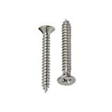 DEXZON TF SELF TAPPING SCREW 6X3/4INCH