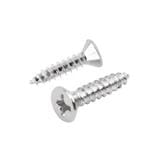 DEXZON TF SELF TAPPING SCREW 6X5/8INCH
