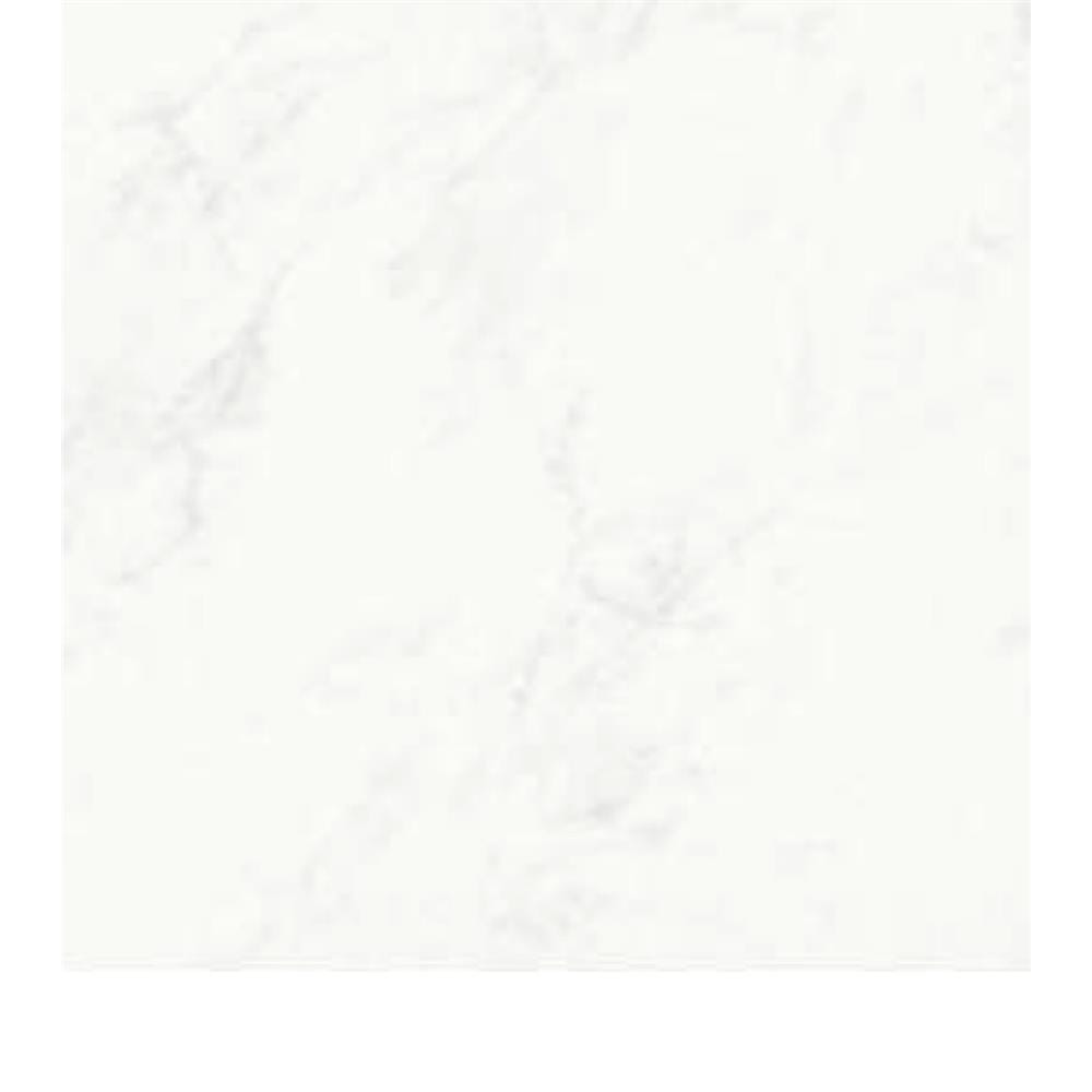 WHITE HORSE FLOORTILE 40X40CM CARRARA WHITE C40071 1.28M2