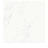 WHITE HORSE FLOORTILE 40X40CM CARRARA WHITE C40071 1.28M2