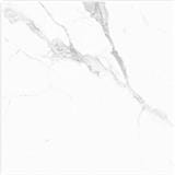 WHITE HORSE FLOORTILE STATUARIO WHITE 60X60CM H60010P 1.44M2
