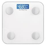 RUSSELL TAYLORS SCALE BWS-10 DIGITAL