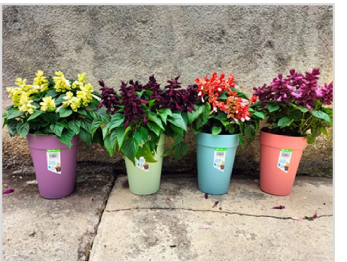BABA BIO POT NB-280 POT MORANDI GREEN