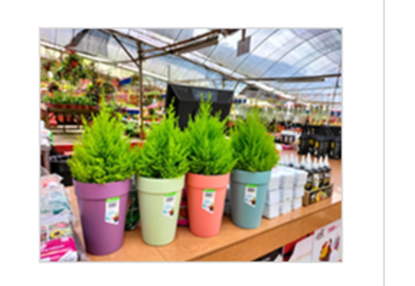 BABA BIO POT NB-150 POT MORANDI GREEN