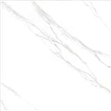 TARA FLOORTILE 60X60CM WHITE CALACATA 1.44M2