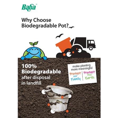 BABA BIO POT NB-150 POT MORANDI PURPLE